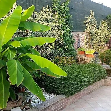 Laura 4*